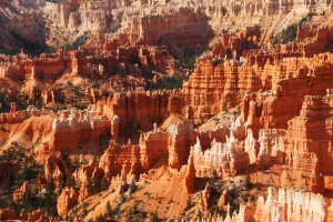 Bryce Canyon National Park, Queens Garden Trail, Bryce, UT 84764, USA