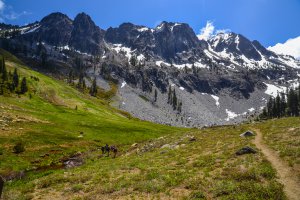 Klamath National Forest, Coffee Creek, Forks of Salmon, CA 96031, USA