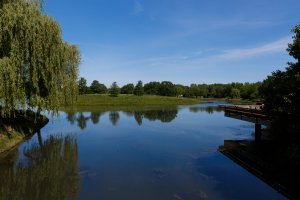 Photo taken at 1000 Lake Cook Rd, Glencoe, IL 60022, USA with Canon EOS 5D Mark III