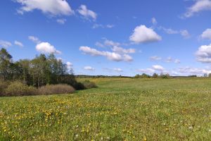 Photo taken at Barstytaliai, Barstyčių seniūnija, Skuodo rajono savivaldybė, Klaipeda County, Lithuania with Xiaomi Mi 9T