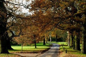 Photo taken at Ayot St Peter Road, Welwyn, Hertfordshire AL6 9AB, UK with Panasonic DMC-TZ10