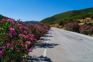 Photo taken at Unnamed Road, Kissamos 730 01, Greece with Panasonic DMC-G3