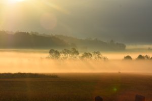 Photo taken at Cades Cove Loop Rd, Tallassee, TN 37878, USA with NIKON D7200