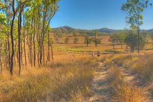 Photo taken at 593-696 Grieves Road, Colinton QLD 4306, Australia with NIKON D300