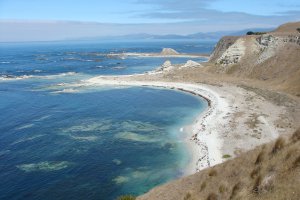 Photo taken at Peninsula Walkway, Kaikoura 7300, New Zealand with SONY DSC-H3