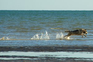 Photo taken at LOT 4 Orchid Drive, Burrum Heads QLD 4659, Australia with NIKON D800E