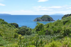 Photo taken at Ridge Road, Army Bay, Whangaparaoa, New Zealand with Panasonic DMC-ZS20