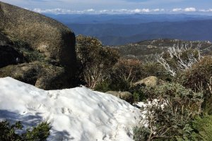 Photo taken at Mount Buffalo Rd, Mount Buffalo VIC 3740, Australia with Apple iPhone 6