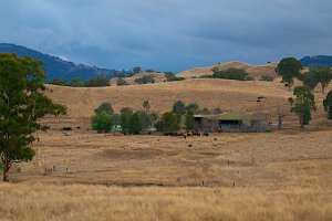 Photo taken at 2883 Waverley Road, Timor NSW 2338, Australia with NIKON D300