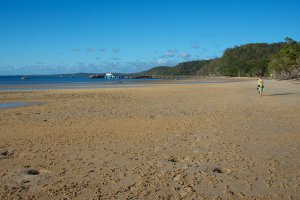 Great Sandy National Park, Unnamed Road, Fraser Island QLD 4581, Australia